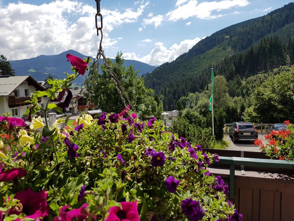 Margarete Guest house 3*